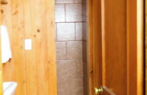 Lake City Cabin | The Sunflower Cabin with Mountain Views