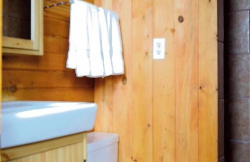 Lake City Cabin | The Sunflower Cabin with Mountain Views