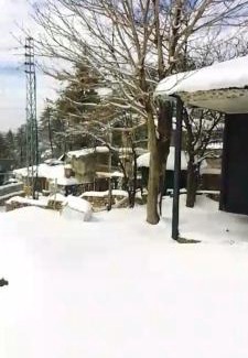 Murree Ski Chalet | The Teal Cottage