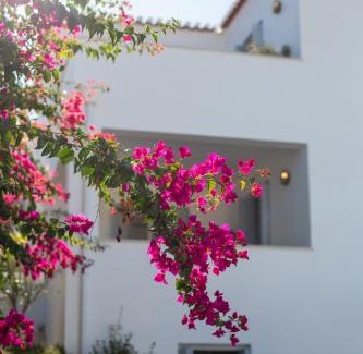 Spetses Villa | The Villa Evita Stunning View with private pool