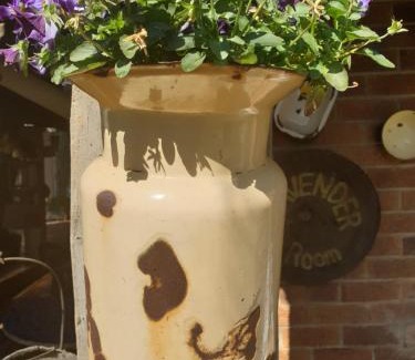 Trichardt House | The Yardt Guest House