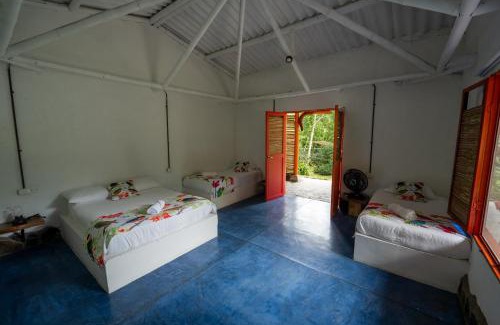 Manizales Hotel | Tinamú Birding and Nature Lodge