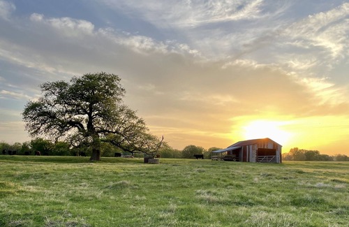 Grandview Cabin | Tiny House on the Farm