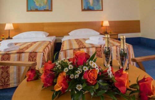 Chodov Hotel | TOP HOTEL Praha