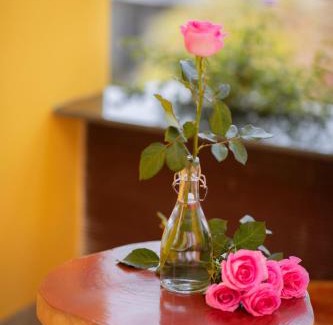 Thuy Xuan House | Trú Homestay Huế