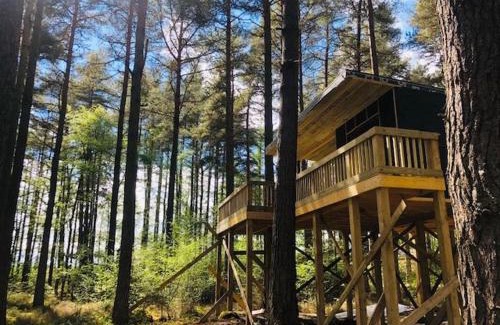Munlochy Other | Treetops at Wildwoodz Off grid treehouse No electricity