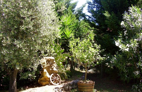 Collemezzano Apartment | Two-room apartment in the countryside 4 km from the sea