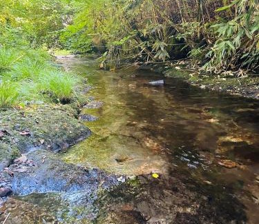 Brechfa House | Ty Mawr Country Hotel & Restaurant