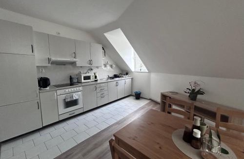 Predni Kopanina Apartment | U Drahusky