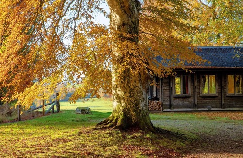 Nairn Cabin | Unique Norwegian cabin perched above the River Findhorn with a stunning view