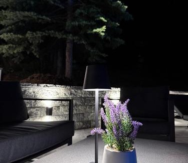 Sjenica Apartment | Uvac lake "FF"