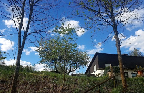 Hallenberg Apartment | Vacation apartment/apartment for 5 guests with 74m² in Hallenberg (187959)