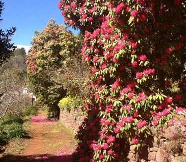 Camacha House | Valle Paraizo