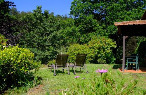 Camacha House | Valle Paraizo