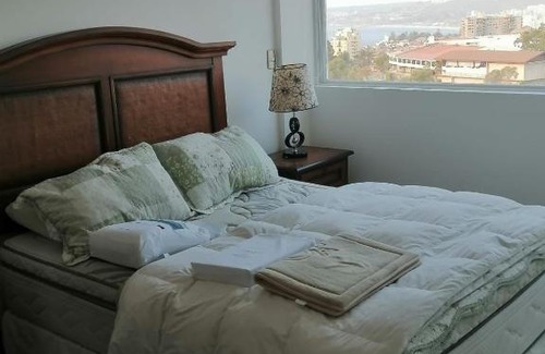 Placeres Apartment | Viñavista