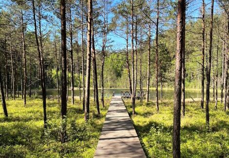 Moletai District Municipality Villa | Vidugiris Lake
