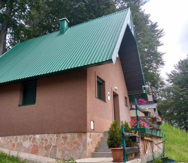 Zabljak Villa | Vila Darija