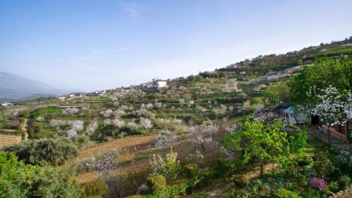 Berat Apartment | Vila Dean