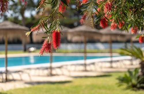 Vila Nova de Santo Andre Hotel | VILA PARK Nature & Business Hotel