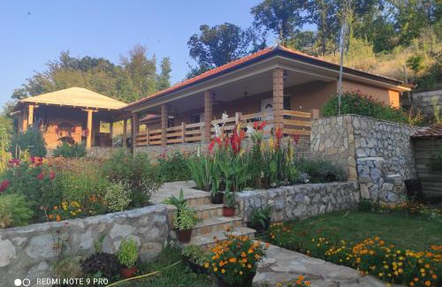 Bor Apartment | Vila Vera Borsko Jezero
