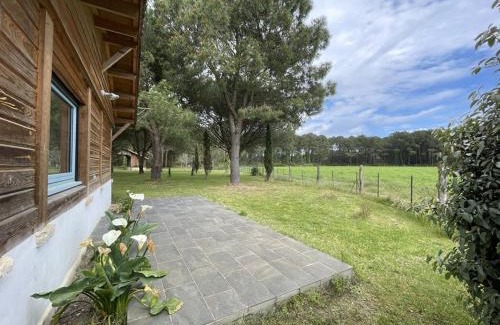 Messanges Villa | Villa 4 pers. avec jardin privé, animaux acceptés, tout confort à Messanges - FR-1-379-136