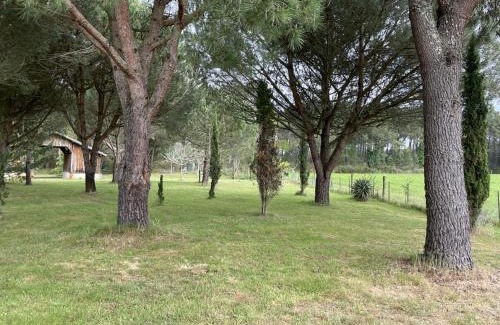 Messanges Villa | Villa 4 pers. avec jardin privé, animaux acceptés, tout confort à Messanges - FR-1-379-136