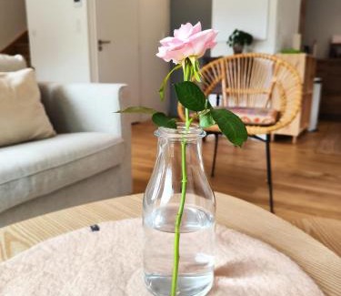 Messanges House | Villa Holidays Ocean