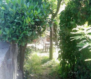 Poggio alla Malva Hotel | Villa La Malva