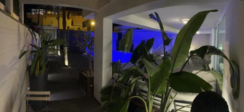 Lido Manfria Villa | Villa Melody