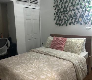 Paramaribo Bed & Breakfast | Villa Mi Casa