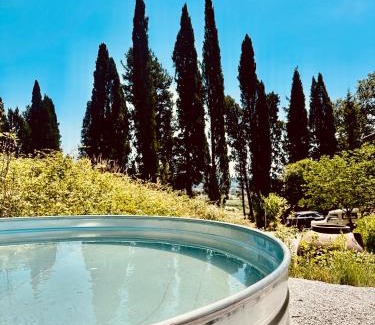 Castelfranco di Sotto Apartment | Villa Monteleone