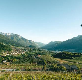 Martignano Apartment | Villa Pruner