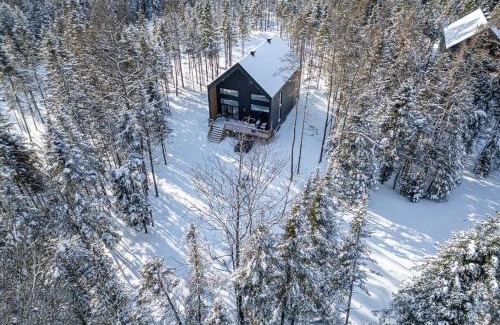Shannon Ski Chalet | Villa Romeo