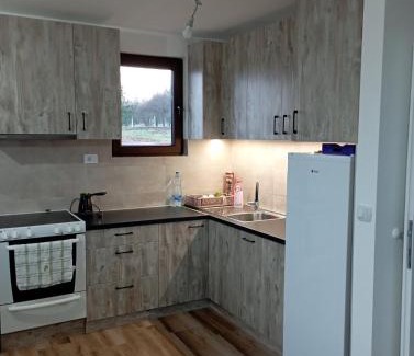 Mladenovac Villa | Villa Sladjana