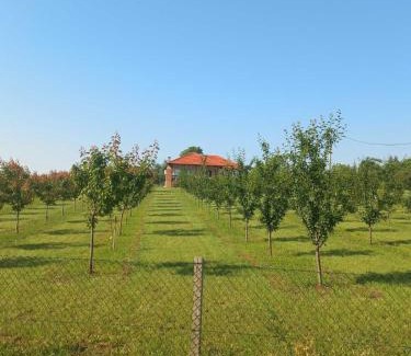 Mladenovac Villa | Villa Sladjana