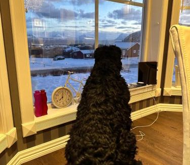 Stø Villa | Villa Stø in Vesterålen (Lofoten) Norway