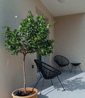 Kalyves Villa | Villa Terra Nuova
