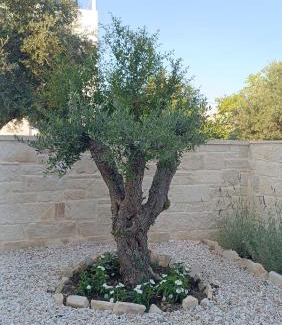Kalyves Villa | Villa Terra Nuova
