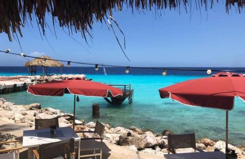 St. Marie Villa | VillaDelSol-Ocean Front Resort-Pool-up to 8 Guests-Walk to the Beach