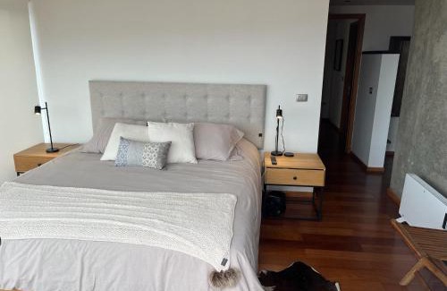 Placeres Apartment | Vista panorámica a Valparaiso