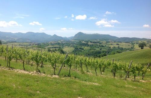 Rosora House | Vittoria Il Graditempo Country House