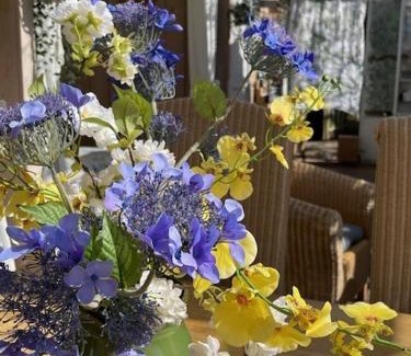Hank House | Vrijstaande accommodatie Glamping de Kas InN