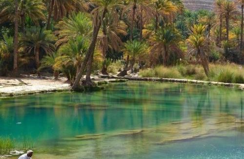 Wadi Bani Khalid Villa | Wadi Bani Khalid Villa