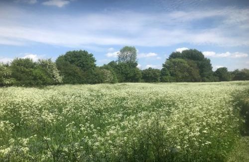 Bury St Edmunds Bed & Breakfast | Waldegrave farm