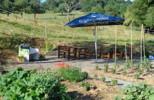 Ulmet Hotel | Waldhotel Felschbachhof