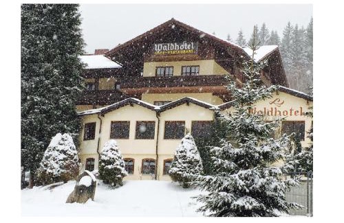 Regenhutte Hotel | Waldhotel Seebachschleife