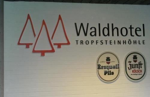 Wiehl Hotel | Waldhotel Tropfsteinhöhle