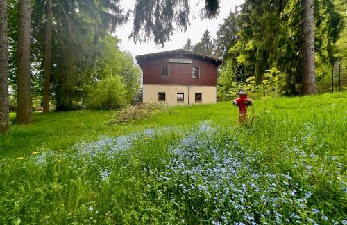 Bad Reiboldsgruen Hotel | Waldhotel Zöbischhaus