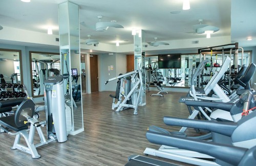 Stoneridge Place Apartment | WanderJaunt - Baird - 1BR - Barton Creek