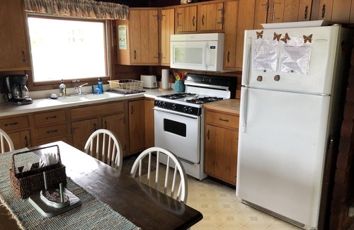 Mears Cottage | Waterfront Lake House with private dock on Upper Silver Lake!
